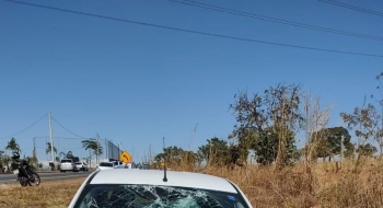 Árbitro de futebol morre em acidente de trânsito na GO-537, em Senador Canedo 